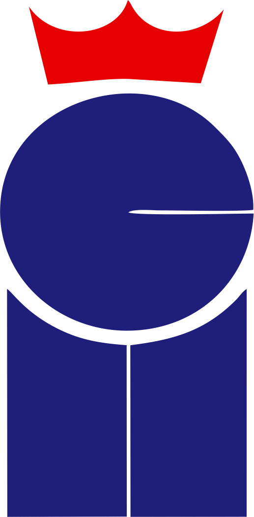 Posicionamiento Google Ads - Agencia de Marketing Digital y Posicionamiento en Google Ads